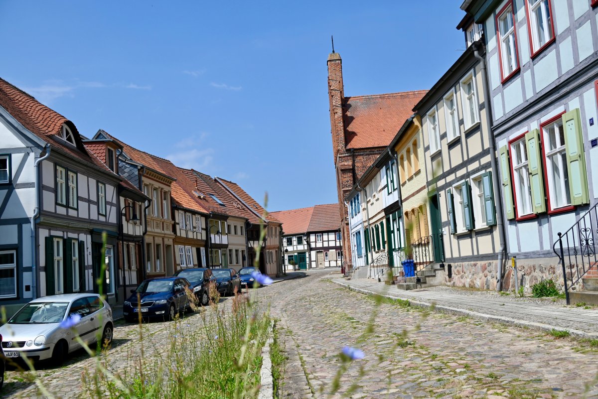 DSC 3560